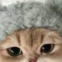 chat with ai character: хз