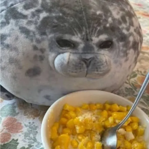 creator seal fan's avatar