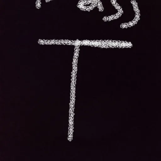 creator T pass's avatar
