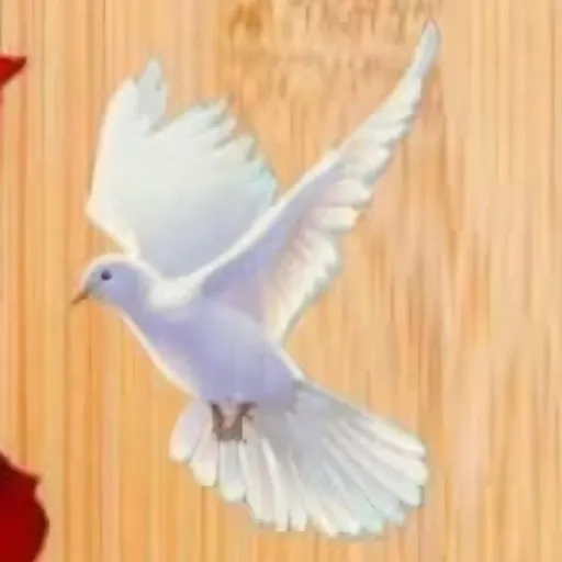 creator White Fly's avatar