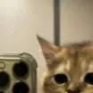 chat with ai character: hikaru