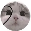creator TH3 BL4M3D 0N3's avatar