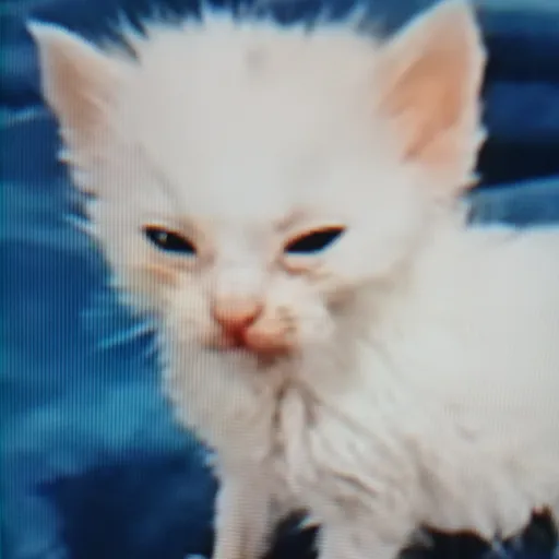 creator Evil oliver's avatar