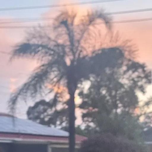 creator 🧷🐛🦭⛓️𝓜𝓪𝓴𝓪𝔂𝓵𝓪⛓️🦭🐛🧷's avatar