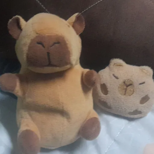 creator capybaras's avatar