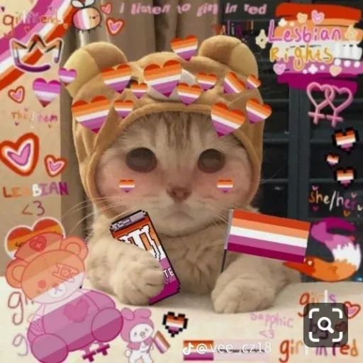 creator ♡__♡'s avatar