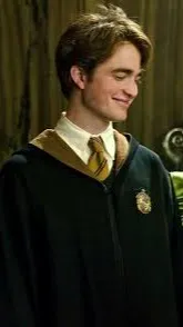 ai character: Harrys sister background