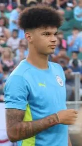 ai character: nico oreilly background