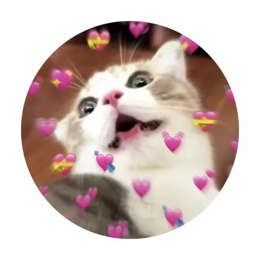 creator 🎀talkie_mary🎀's avatar