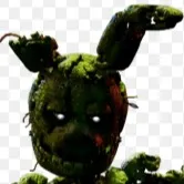 creator springtrap!! 💚❤🖤's avatar