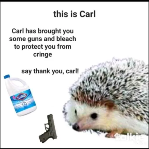 creator Carl🔥🔥🔥👍👍👍🦔🦔🦔's avatar