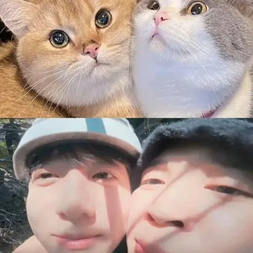 creator 스트레이 키즈 방탄소년단 ❤💜's avatar