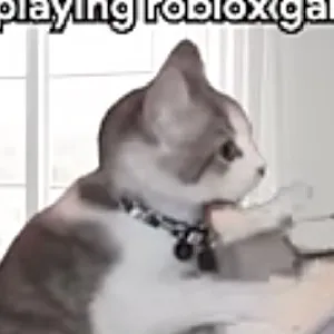 creator Your_Local Cat's avatar