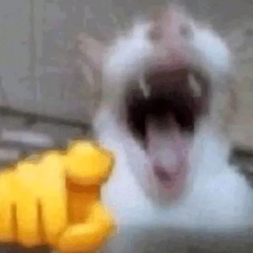 comment user avatar