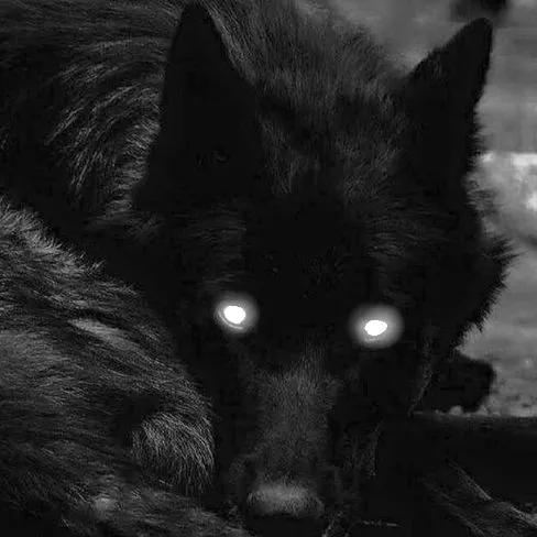 creator ☣︎𝕭𝖑𝖔𝖔𝖉𝖞•𝕻𝖚𝖕☣︎'s avatar
