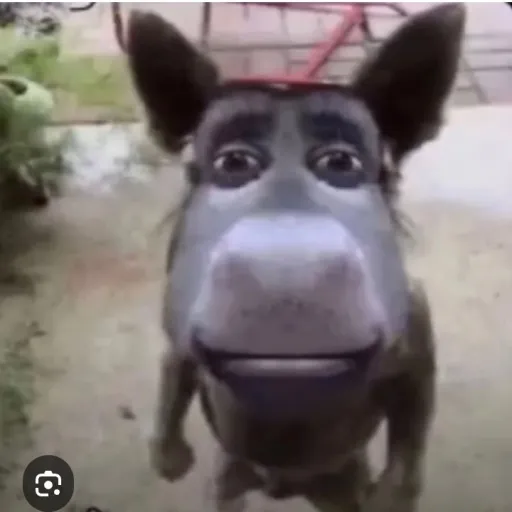 creator Осёо's avatar