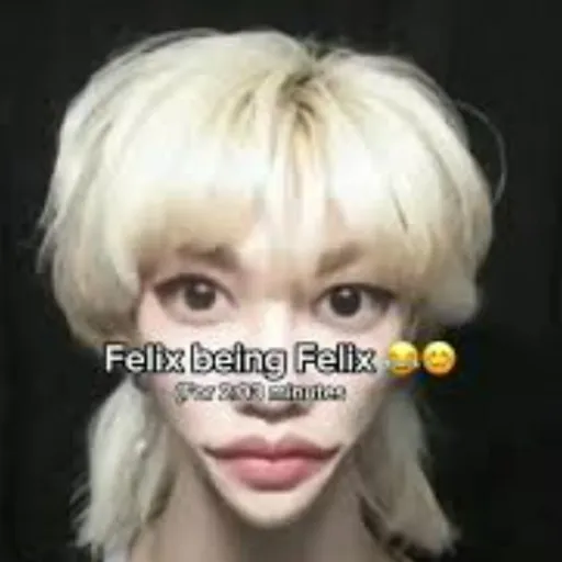 creator Felixslays's avatar