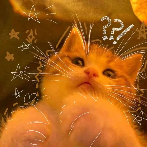 creator ✩~🍧𝕐𝕝𝕠𝕟𝕫🍧~☆'s avatar