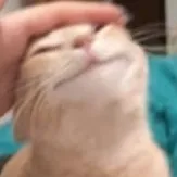 creator olaniños's avatar