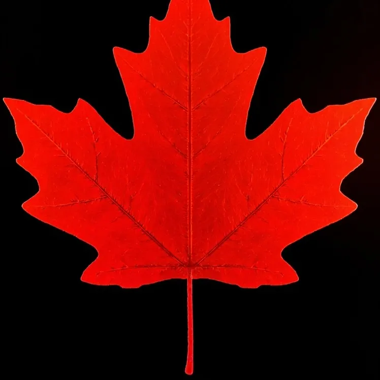 chat with ai character: Leaf