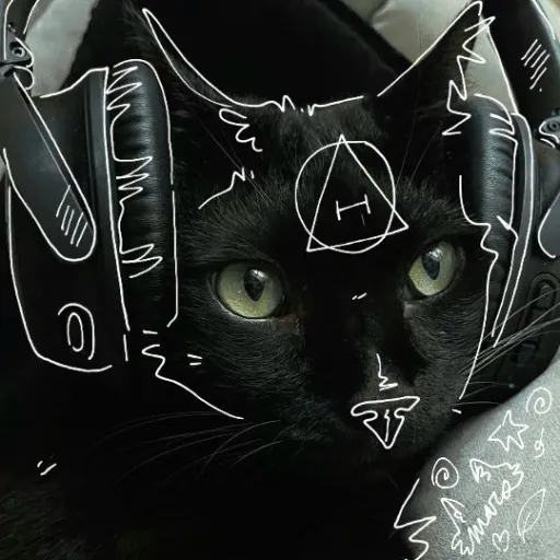 talkie's author avatar