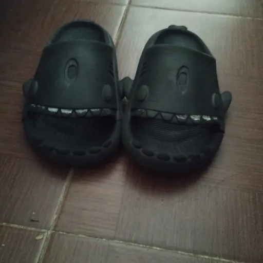 creator chanclas tiburón's avatar