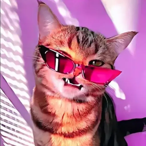 creator 007n7 0's avatar