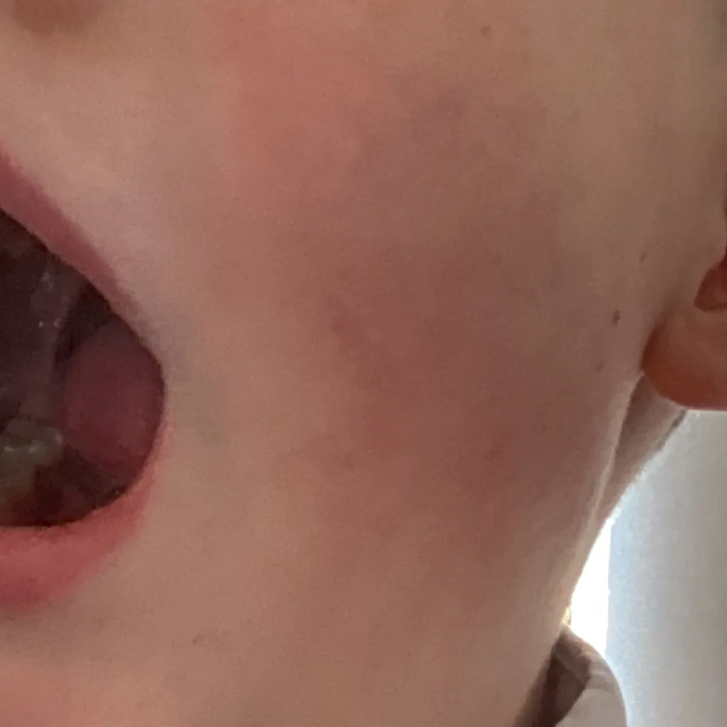 chat with ai character: Riley