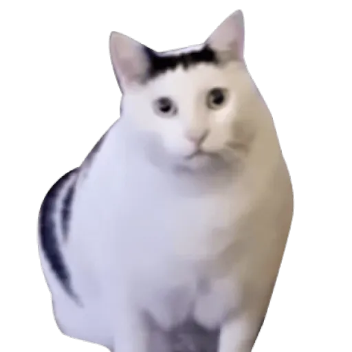 creator Talkior-69M9cKop's avatar