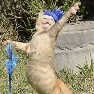 creator γ· βπΆπππ β
's avatar