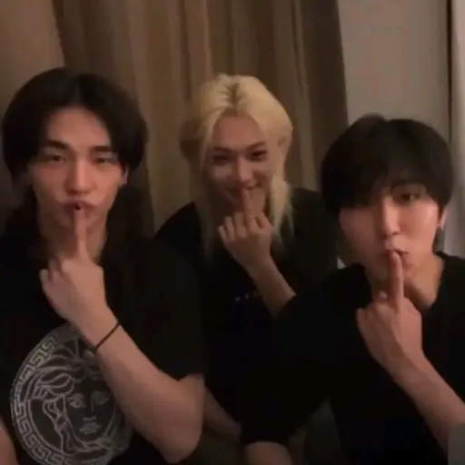 creator I LOVE SKZ❤❤❤'s avatar