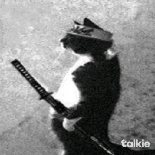 creator the samurai cat's avatar