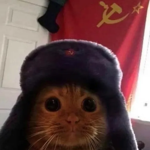 creator Soviet Leo's avatar