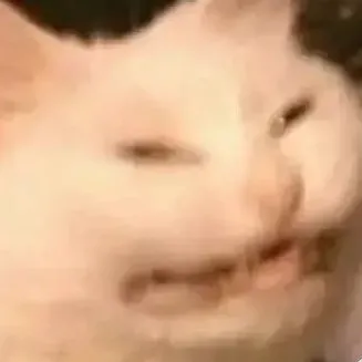 creator 🪽 agakon4ik 🪽's avatar