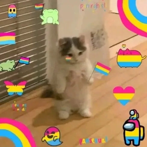creator ❤️gatita pan❤️'s avatar