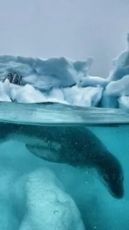 ai character: femal Leopard seal background