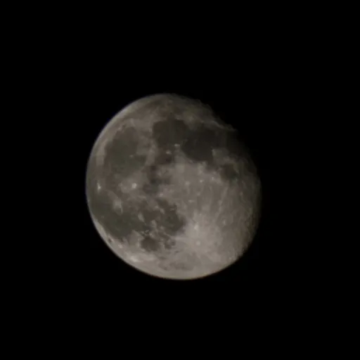 creator Lena 18's avatar