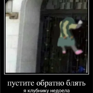 creator ᖘ𐌏𐌼𐌳𐍦𐌺𐌳 XD's avatar