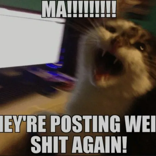 creator free memes's avatar