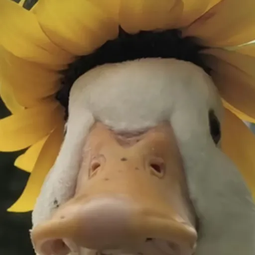 creator 1_L0V3_MY_B3D ♡'s avatar