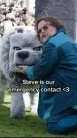 ai character: Steve background