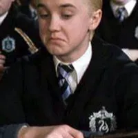chat with ai character: ~Draco M~