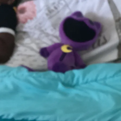 creator catnap and poopday's avatar