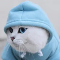 creator Kotik_88's avatar