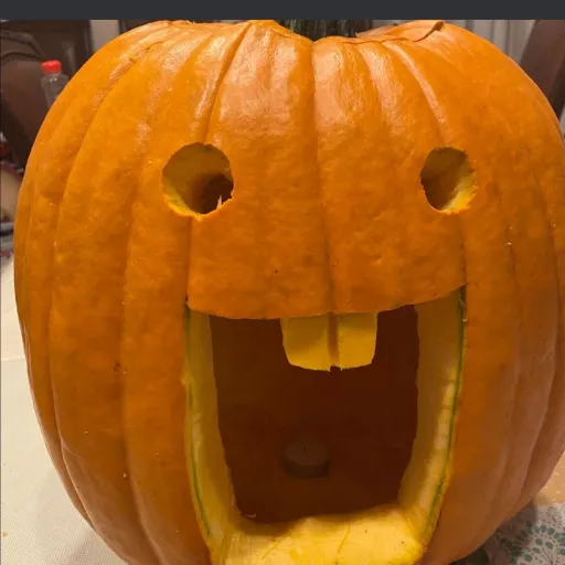 creator mr balls 51's avatar