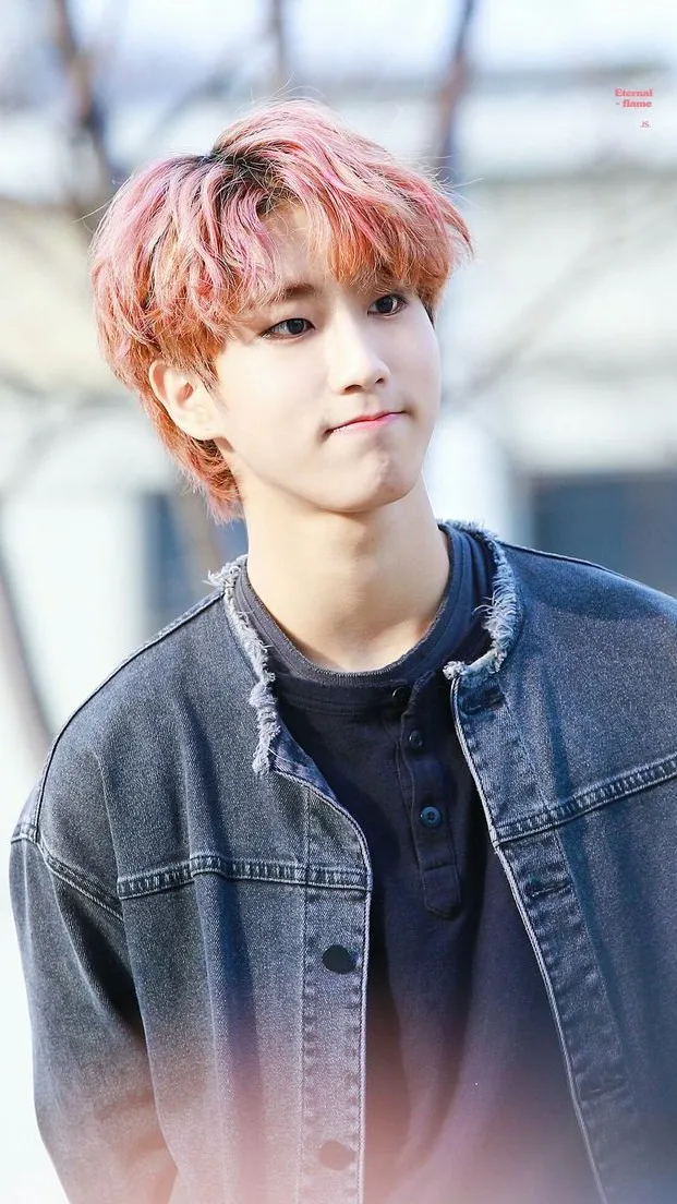 ai character: Han Jisung background