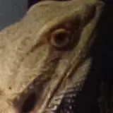 creator reasonofyourlife's avatar