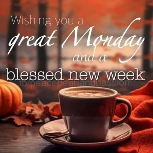 creator °•°•Kitty°•°•'s avatar