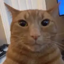 creator papureal's avatar