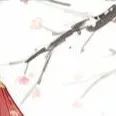 chat with ai character: Yuki